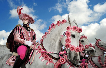 Carnival - Sardinia, blue, animal, white, horse, black, mask, carnival, man, italy, sardinia, pink, flower, sky, cloud HD wallpaper