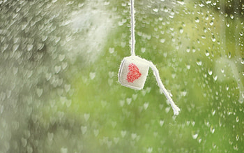Background, Hearts, Love, Valentine's Day HD wallpaper