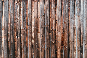 Wood, Tree, Texture, Textures, Surface, Planks, Board HD wallpaper