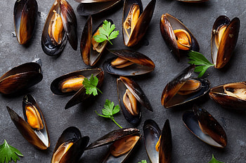 Seattle mussels, Opioid contamination, Shellfish danger, News alert HD wallpaper