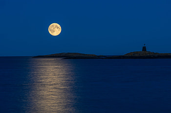 Moonlight Reflection In Sea, moonlight, moon, reflection, sea, nature HD wallpaper