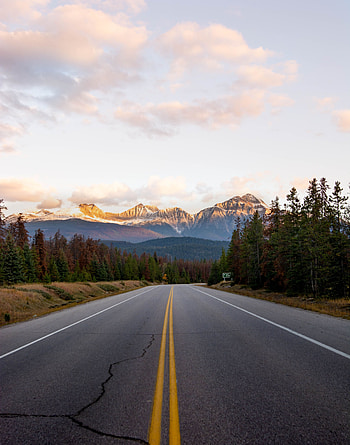 Landscape, Nature, Mountains, Road, Turn, Forest, Asphalt HD phone wallpaper