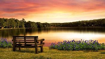 Springtime at a lake in Pennsylvania, bench, plants, colors, flowers, sky, sunset, usa HD wallpaper