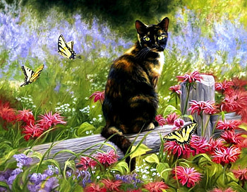 On the Fence, artwork, butterflies, blossoms, cat, flowers, swallowtails HD wallpaper