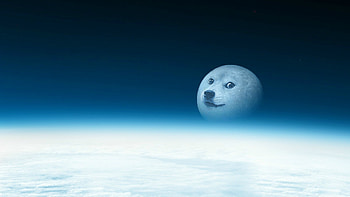 Doge Meme - afari HD wallpaper