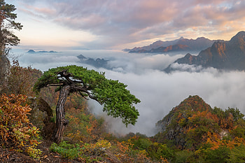 Top of Mountain, sky, nature, cloud, tree, Mountain HD wallpaper