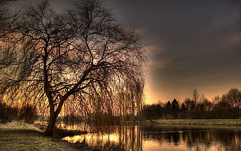 Landscape, Rivers, Trees, Sunset, Art HD wallpaper