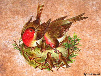 FAMILY, BIRDS, ART, NEST, CREATION HD wallpaper
