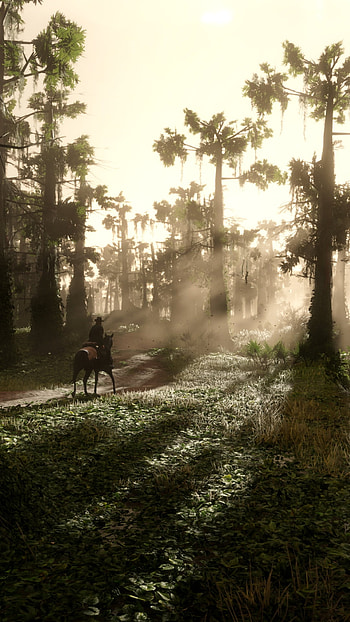 video game, Red Dead Redemption 2 HD phone wallpaper