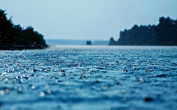 Drenched landscapes, Rainy day beauty, Nature's tears, Mesmerizing HD wallpaper