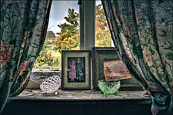 Still Life, Curtain, pretty, Window HD wallpaper