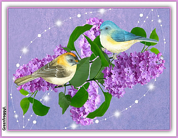 LILACS AND BIRDS, ART, CREATION, ABSTRACT HD wallpaper