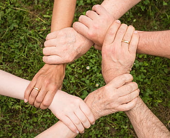 Close-up of diverse hands forming a connection, symbolizing teamwork and unity outdoors. HD wallpaper