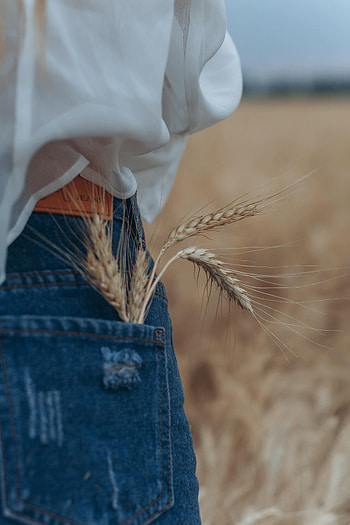 Miscellanea, Miscellaneous, Girl, Ears, Spikes, Jeans, Pocket HD phone wallpaper