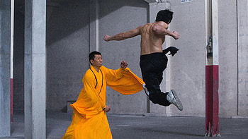 Birth of the Dragon, Shaolin Kung Fu HD wallpaper