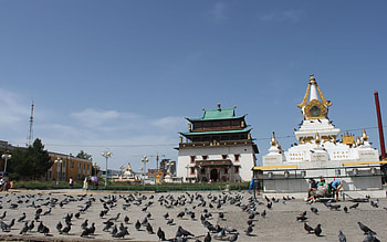 Gandantegchinlen Monastery, Mongolia HD wallpaper