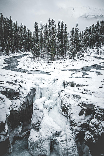 Nature, Trees, Ice, Snow, Forest, Snow Covered, Snowbound HD phone wallpaper