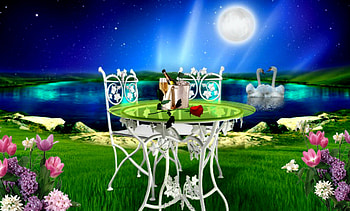 A Toast To Our Love!, night, pretty, love, fullmoon, beautiful, flowers, romantic HD wallpaper