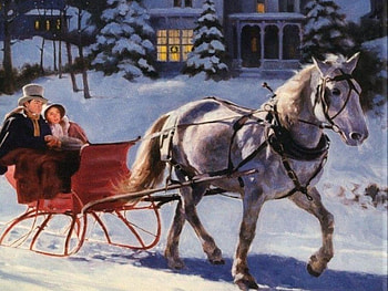 sleigh ride, animal, horse, snow, scenic HD wallpaper