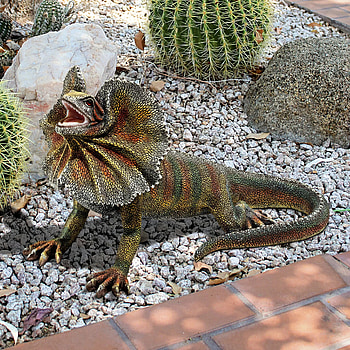 Design Toscano frill-necked lizard statue, Unique lizard artwork, Distinguished decor, Statue charm HD phone wallpaper
