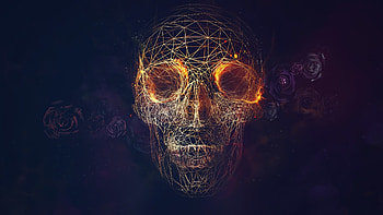 25 best ideas about Skull on Pinterest . HD wallpaper