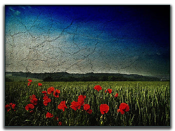 field of dreams, dreams, field HD wallpaper