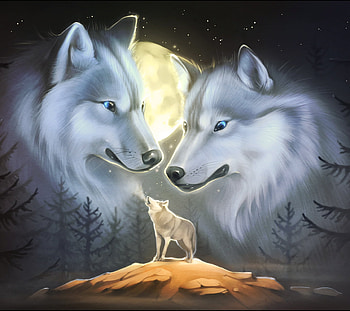 Lovely Wolves, wild, wolf, moon, howl HD wallpaper
