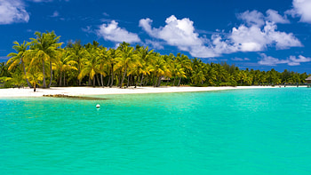 Preview summer, maldives, tropical, beach, palm trees HD wallpaper