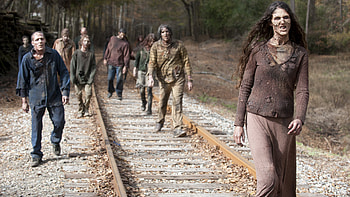 The Walking Dead, Tv Show HD wallpaper