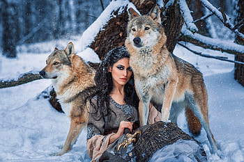 The pack, model, girl, wolf, aleksandra savenkova, iarna, lup HD wallpaper