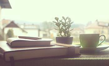 Tea and book , Bookworm's delight, Cozy reading nook, Tea time tranquility HD wallpaper
