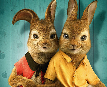 Peter Rabbit 2 The Runaway, 2, The, Runaway, Peter, Rabbit HD wallpaper