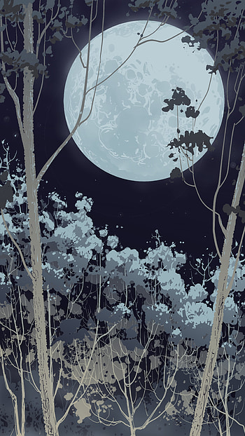 Night, Vector, Forest, Full Moon HD phone wallpaper