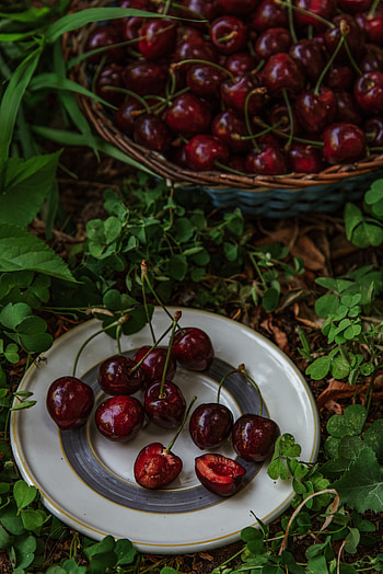 Sweet Cherry, Food, Cherry, Berry, Plate, Fruit HD phone wallpaper