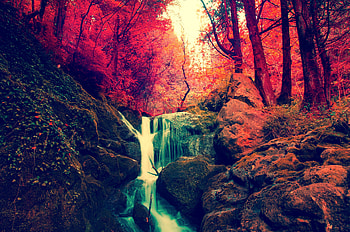 Autumn Forest Waterfall, red, trees, waterfall, autumn, nature, forest, foliage HD wallpaper