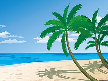 Summer beach, palms, beach HD wallpaper