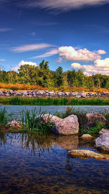 Gheraiesti park , Bacau city Romania HD phone wallpaper