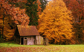Landscape, Houses, Autumn HD wallpaper