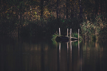 Nature, Rivers, Trees, Grass, Pier, Forest HD wallpaper