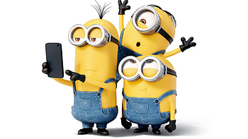 Minions animation, Latest 1440p resolution HD wallpaper