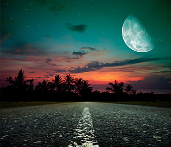 Fantasy Moon, colors, sky, road, sunset, palmtrees HD wallpaper