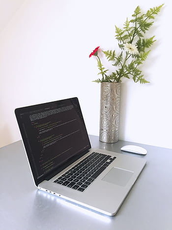 Laptop with programming code on screen beside a vase with flowers, creating a modern workspace. HD phone wallpaper