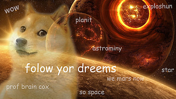 Doge Meme: The Best of Doge HD wallpaper
