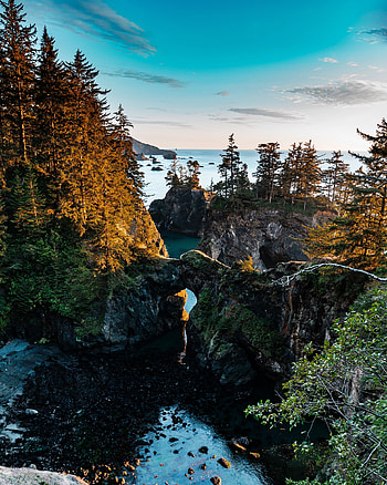 Landscape, Nature, Trees, Rocks, View From Above, Coast HD phone wallpaper