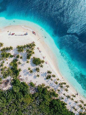 Nature, Sand, Palms, View From Above, Coast, Ocean HD phone wallpaper