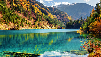 Beautiful Green Yellow Autumn Trees Mountain Slope Reflection On Turquoise Blue Color Water Nature HD wallpaper