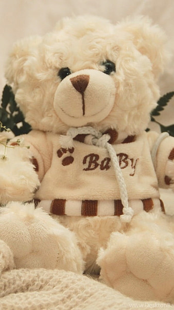 Teddy Bear Wale, Soft, Teddy HD phone wallpaper