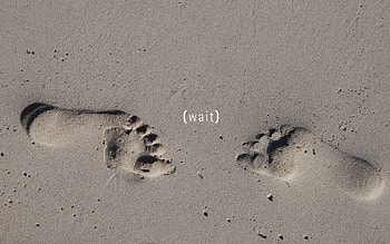 Sand, Words, Grey, Traces, Imprint HD wallpaper