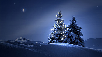 Snowy Christmas Tree (23) HD wallpaper