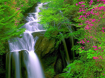 Cool Waterfall, cool, waterfall HD wallpaper